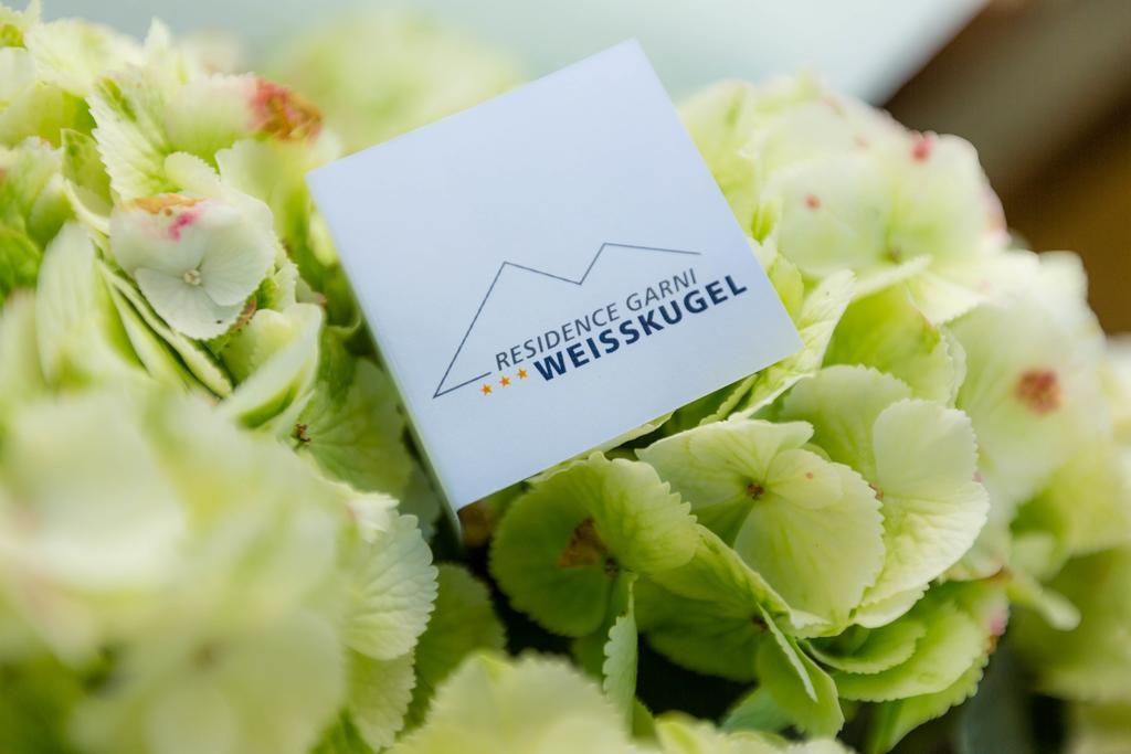 Weisskugel Langtaufers Suedtirol Melago
